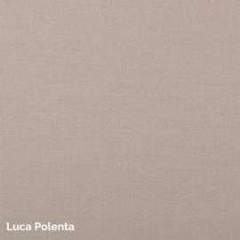 Luca Polenta